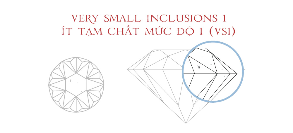 Very Small Inclusions 1 – Ít tạm thời hóa học cường độ 1 (VS1)